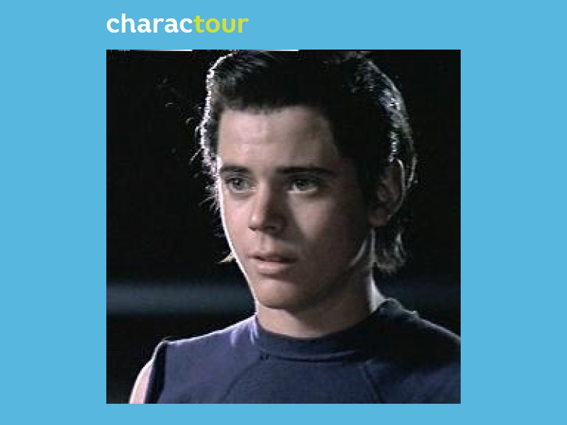 Ponyboy Curtis | The Outsiders Wiki | Fandom powered by Wikia
