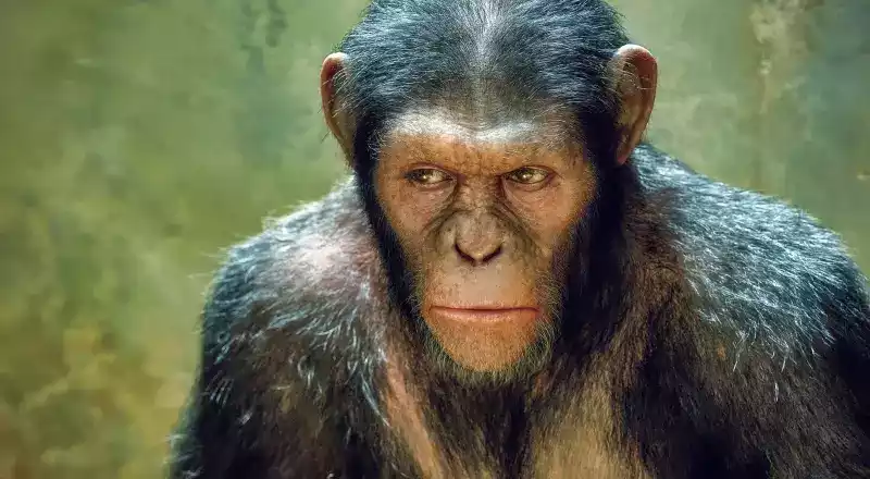 dawn of the planet of the apes caesar