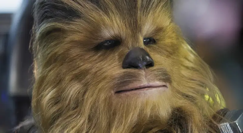 Chewbacca