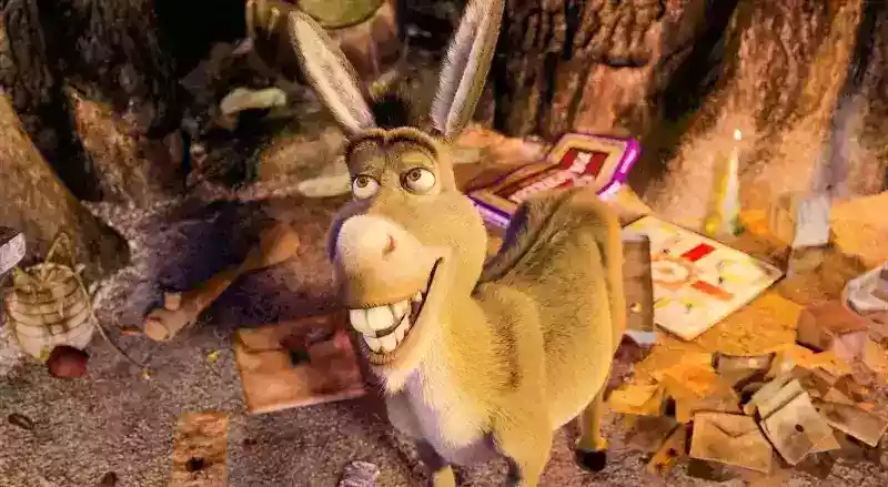 Donkey