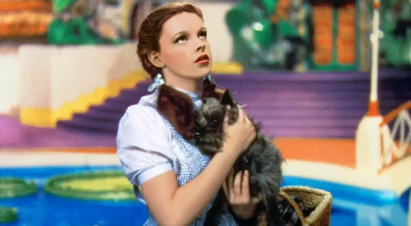 Dorothy Gale from The Wizard of Oz