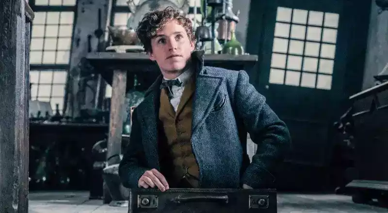 Newt Scamander