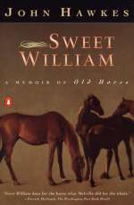 Sweet William