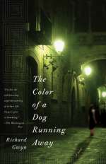 The Color of A Dog Running Away