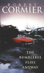 The Bumblebee Flies Anyway