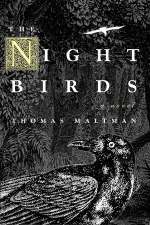 Night Birds