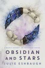 Obsidian And Stars
