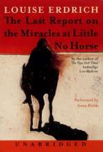 The Last Report On The Miracles At Little No Horse