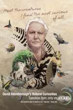 David Attenborough's Natural Curiosities