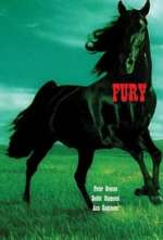 Fury (TV Show)