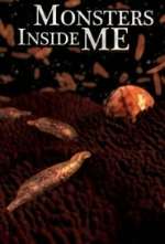 Monsters Inside Me