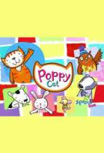 Poppy Cat