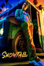 Snowfall