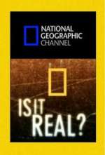 Is It Real?