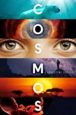 Cosmos (TV Show)