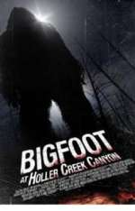 Bigfoot at Holler Creek Canyon