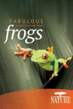 Fabulous Frogs
