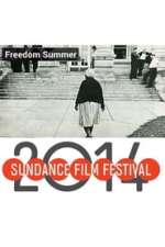 Freedom Summer