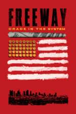 Freeway: Crack in the System