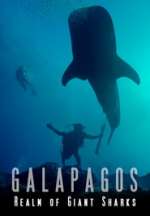 Galapagos Realm Of Giant Sharks