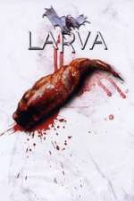 Larva