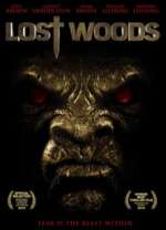 Lost Woods