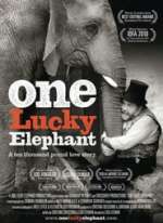 One Lucky Elephant
