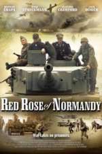Red Rose of Normandy