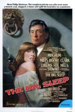 The Big Sleep