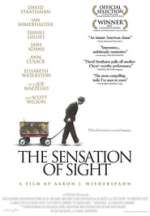 The Sensation of Sight
