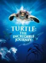 Turtle: The Incredible Journey