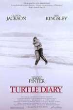 Turtle Diary