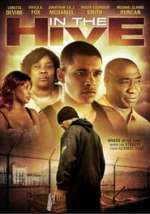 In the Hive