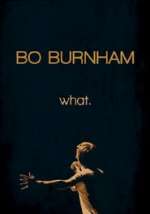 Bo Burnham: what.
