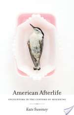 American Afterlife: Encounters in the Customs of Mourning