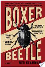Boxer, Beetle