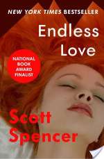Endless Love