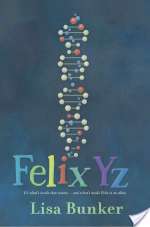 Felix Yz