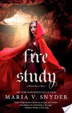 Fire Study