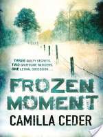 Frozen Moment
