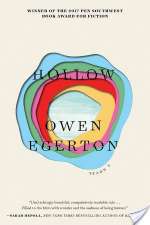 Hollow: A Novel