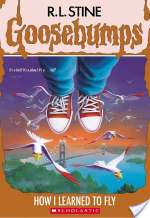How I Learned To Fly