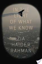In The Light Of What We Know: A Novel