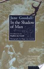 In the Shadow of Man