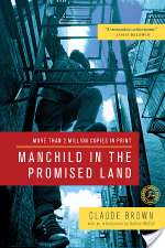 Manchild in the Promised Land