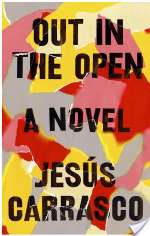 Out In The Open: A Novel