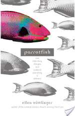 Parrotfish