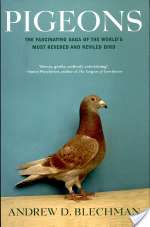 Pigeons: The Fascinating Saga of the World's Most Revered and Reviled Bird