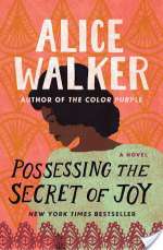 Possessing the Secret of Joy