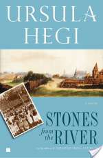 Stones from the River
